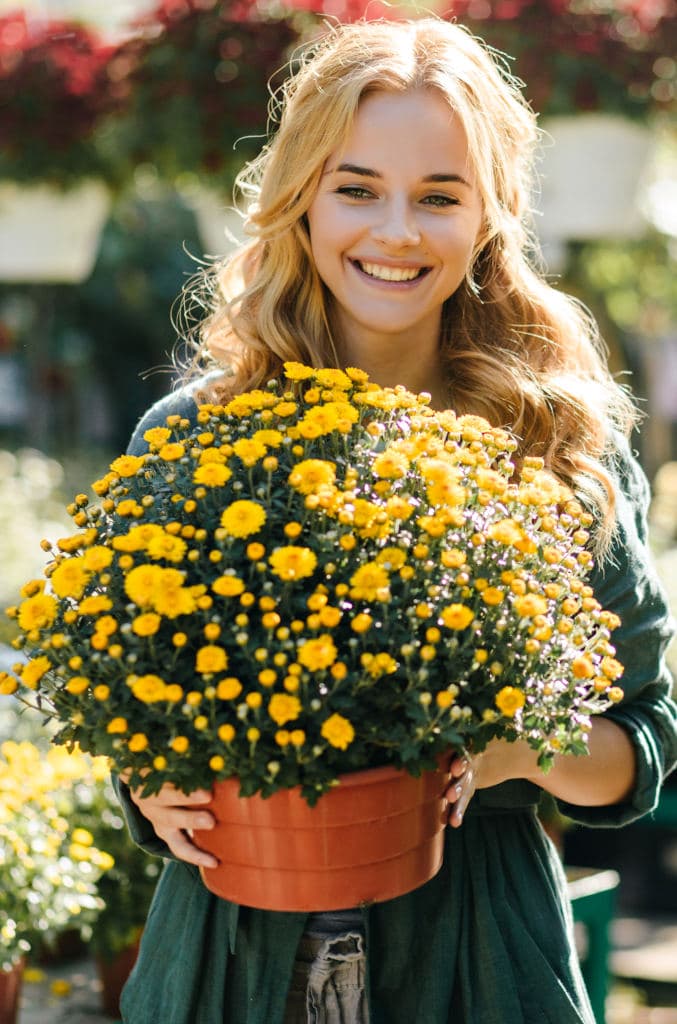 MundoJardín - Web de Jardinería Online » Mundo Jardín